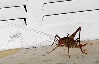 alternativní popis obrázku chybí