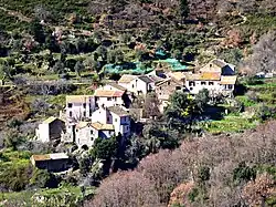 osada Panicale
