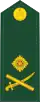 Kanada: armáda (2013–2016)