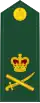 Kanada: armáda (2013–2016)