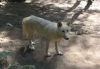alternativní popis obrázku chybí