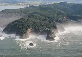 Letecký pohled na pacifický deštný les v Oregonu ve Spojených státech amerických