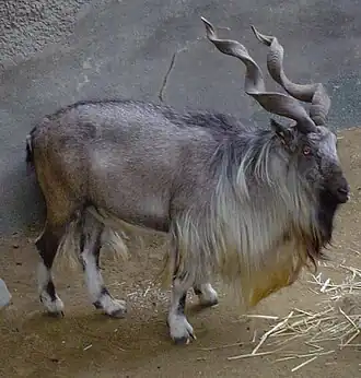 alternativní popis obrázku chybí