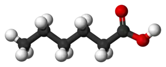 3D model molekuly