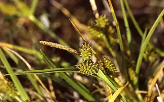 alternativní popis obrázku chybí