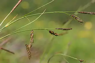 alternativní popis obrázku chybí