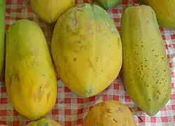 Papája