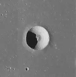 Carlini