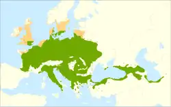 Areál rozšíření