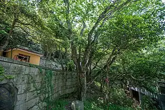 alternativní popis obrázku chybí