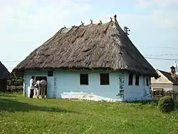 Muzeum Badea Cârțana