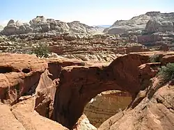 Cassidy Arch