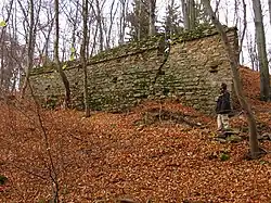 Hrad Loučky