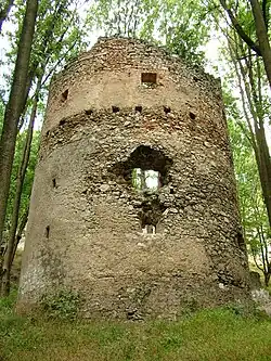 Zříceniny hradu Dobrá Voda jsou součástí rezervace.