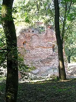 Zbytky hradu