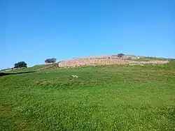 Castro de Elviña