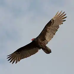 Při letu nad Floridou