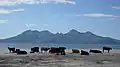 Pláž Cleadale Beach na Eiggu a panorama hor Cuillin na Rùmu