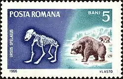 Medvěd jeskynní na poštovní známce Rumunska