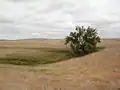 Suchá step v Severní Dakotě.