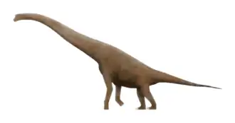 alternativní popis obrázku chybí
