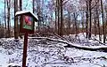 Kohoutov