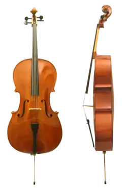 Violoncello