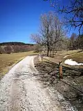 Cesta