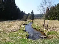 Celní potok nedaleko zaniklé Stoupy