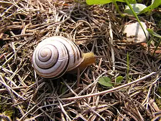 alternativní popis obrázku chybí