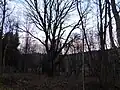 Celkový pohled listopad 2017