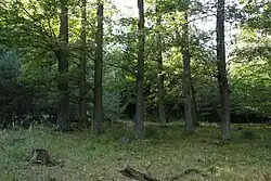 Pohled na lokalitu