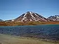 Laguna Miscanti, chilské Altiplano