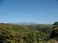 národní park Cerro Cora