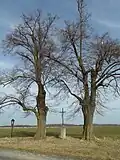 Památné lípy U křížku (Na Visalkách)