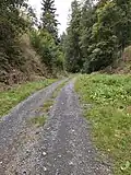 Lesní cesta v dolní části Malého hubu