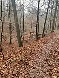 Cesta ke studánce