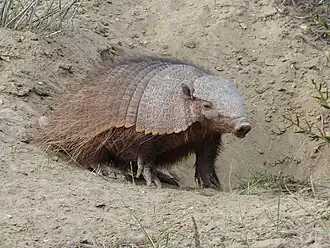 alternativní popis obrázku chybí