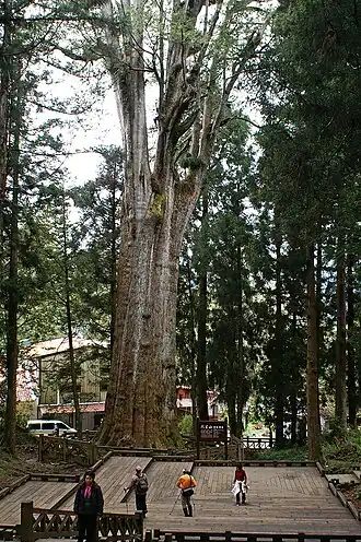 alternativní popis obrázku chybí