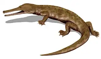 alternativní popis obrázku chybí