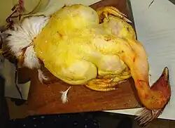 Oškubaný kapoun