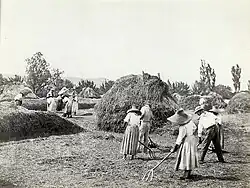 Rolníci, asi 1855