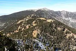Charleston Peak
