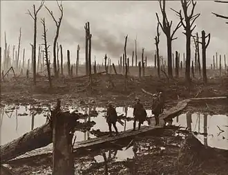 Na staré fotografie hnědé barvy přechází australští vojáci po dřevěném chodníčku v lesích Château bažinu, která vznikla po prudkých deštích; za nimi se nachází zničený, minomety zpustošený, les a polámané a sežehnuté stromy