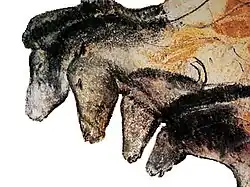 Aurignacké malby z jeskyně Chauvet (Francie)