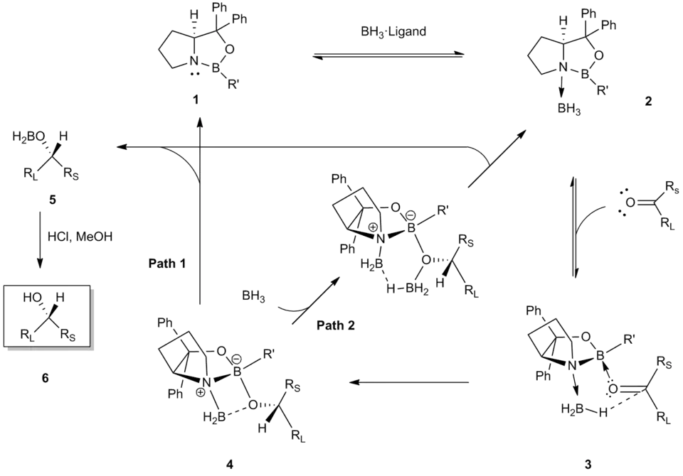 Mechanismus CBS redukce
