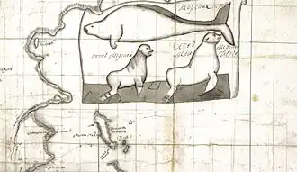 Koroun spolu s dalšími zvířaty na mapě z roku 1744