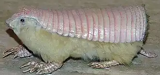 alternativní popis obrázku chybí