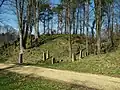 Starý židovský hřbitov