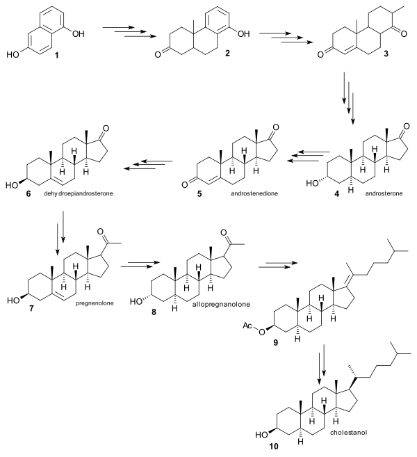 Robinsonova syntéza cholesterolu